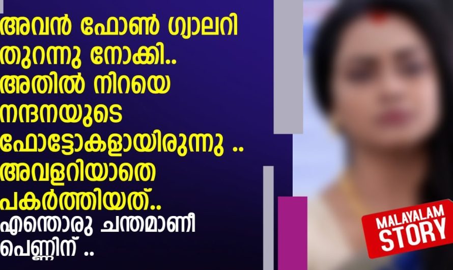 എന്തൊരു ചന്തമാണീ പെണ്ണിന്