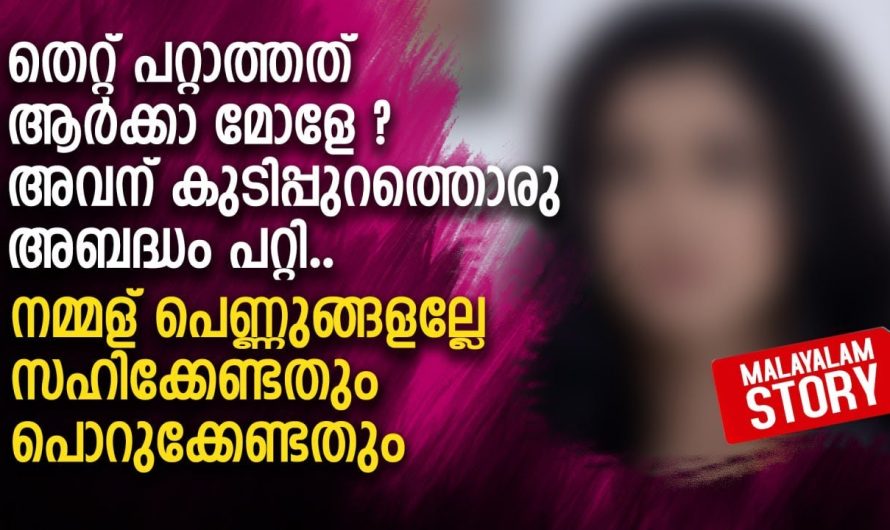 അവന്‌ കുടിപ്പുറത്തൊരു അബദ്ധം പറ്റി.. നമ്മള് പെണ്ണുങ്ങളല്ലേ