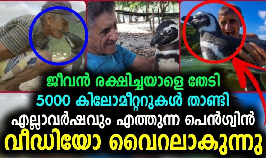 മനുഷ്യരൊക്കെ ഈ കളങ്കമില്ലാത്ത യഥാർത്ഥ സ്നേഹം കണ്ട് പഠിക്കണം !!!!!!