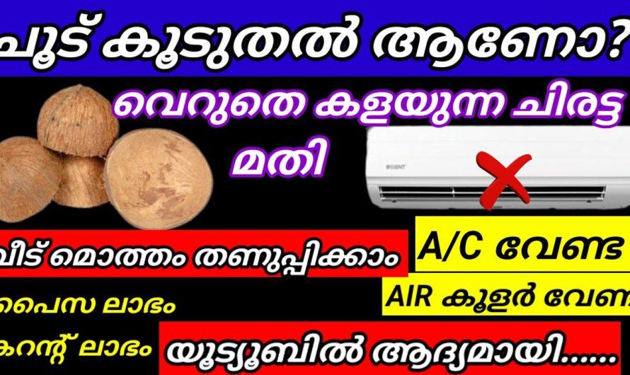 ചിരട്ട കൊണ്ട് ഉള്ള ഈ രഹസ്യം അറിഞ്ഞാൽ ഷോക്ക് ആവും