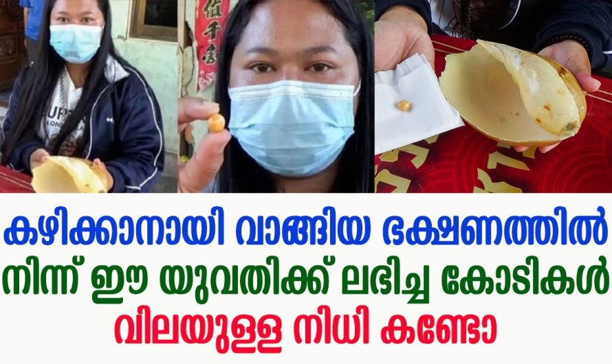 കഴിക്കാനായി വാങ്ങിയ ഭക്ഷണത്തിൽ നിന്ന് ഈ യുവതിക്ക് ലഭിച്ച കോടികൾ വിലയുള്ള നിധി