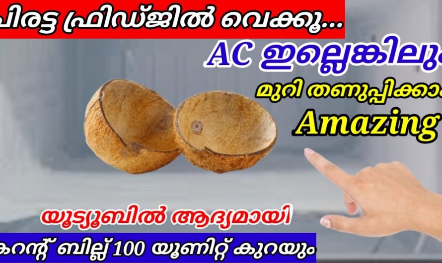 മുറി തണുപ്പിക്കാൻ ചിരട്ട മതി കറൻ്റ് ബില്ല് 100 യൂണിറ്റ് കുറയ്ക്കും