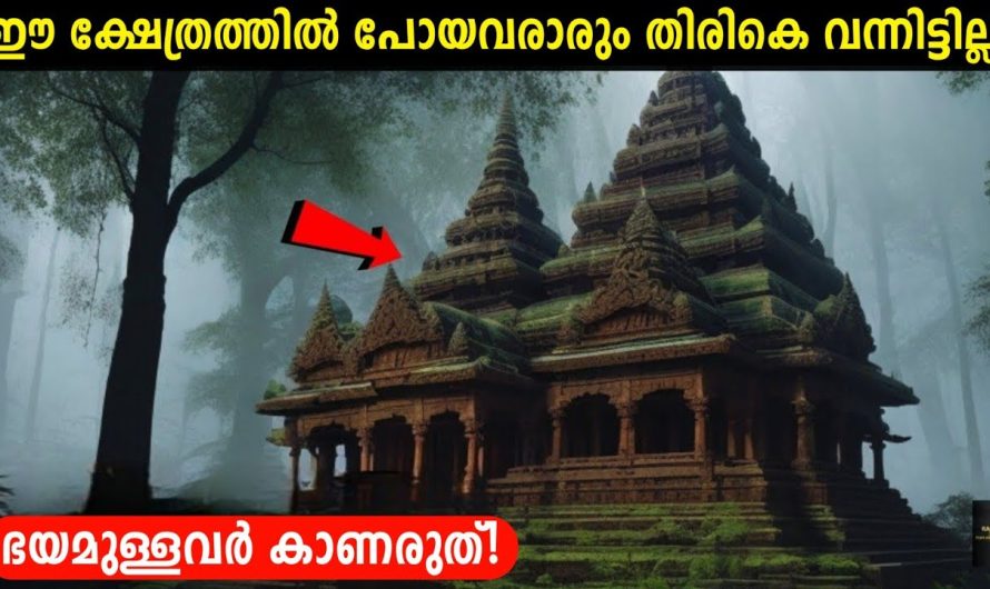 ഒറ്റക്കിരുന്ന് കാണരുത്!⚠️😱 ഇന്ത്യയിലെ നിഗൂഢമായ സ്ഥലങ്ങൾ