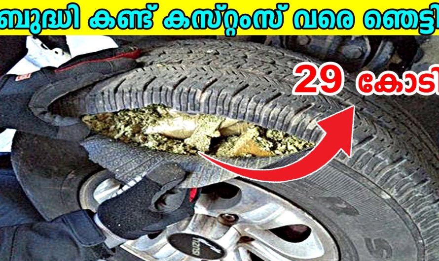 കസ്റ്റംസിനെ പറ്റിക്കാൻ ശ്രമിച്ച ആൾ മുതൽ അത്ഭുതപ്പെടുത്തുന്ന നിധി കണ്ടെത്തൽ