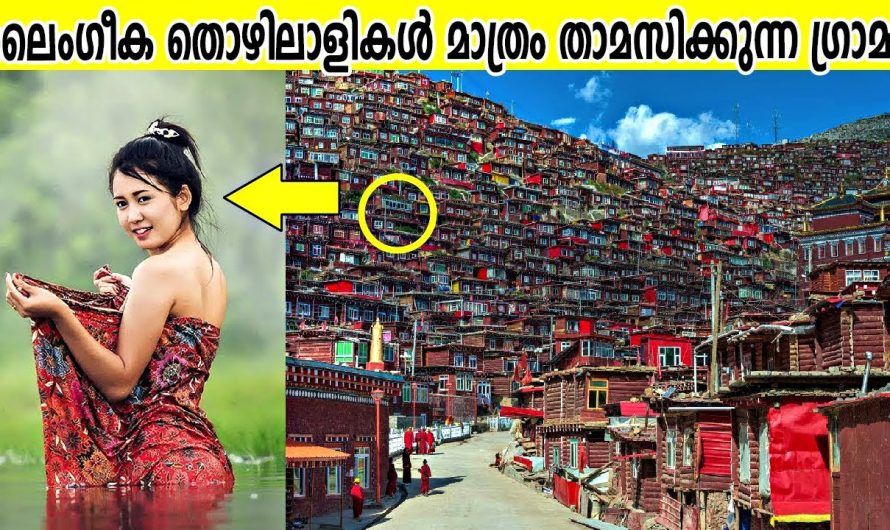 ലൈം…..ഗീ….ക തൊഴിലാളികൾ മാത്രം താമസിക്കുന്ന ഗ്രാമം