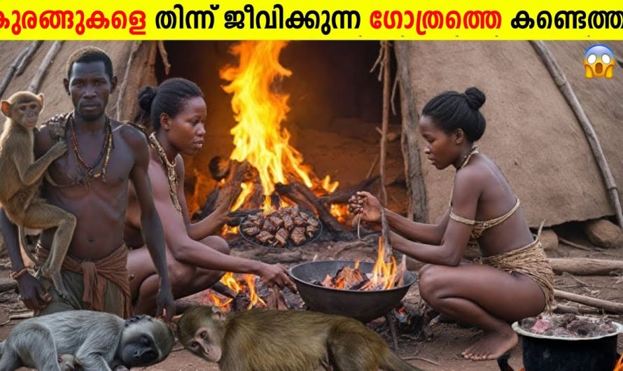 കുരങ്ങുകളെ തിന്ന് ജീവിക്കുന്ന ഗോത്രത്തെ കണ്ടെത്തി!😱