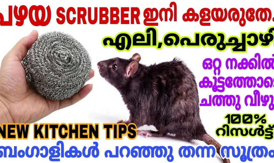 പഴയ സ്ക്രബർ ഇനി കളയല്ലേ എലി, പെരുച്ചാഴി കൂട്ടത്തോടെ ചത്തുവീഴും