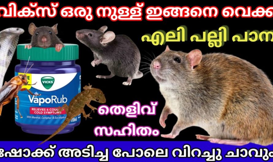 വിക്സ് ഇങ്ങനെ വെച്ച് നോക്കു ഇത് വരെ ആരും പറയാത്ത ഞെട്ടിക്കുന്ന സൂത്രങ്ങൾ