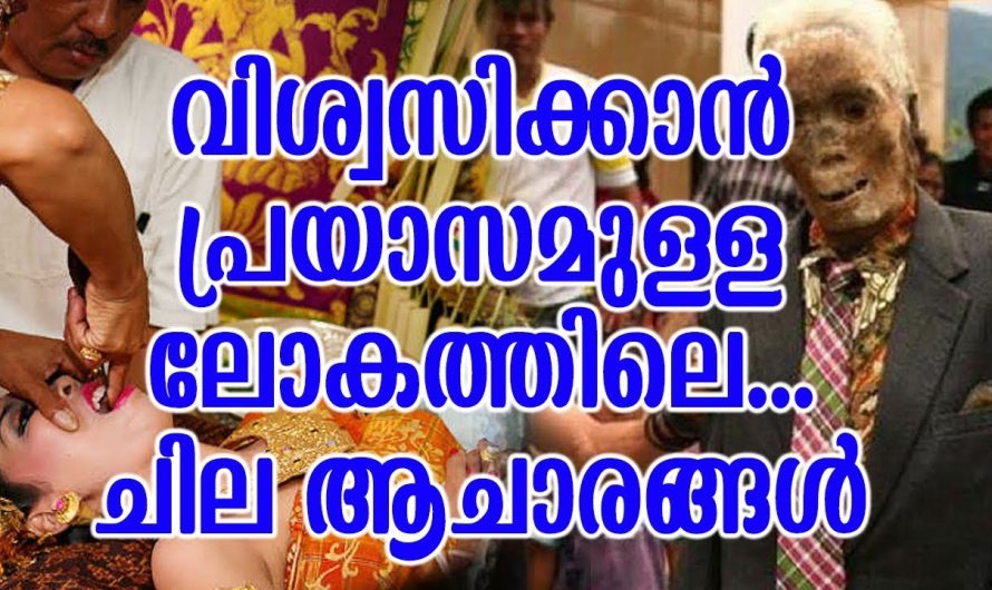 കരണ്ട് ബില്ല് 500 രൂപയിൽ കൂടില്ല ഇങ്ങനെ ചെയ്തു നോക്കു