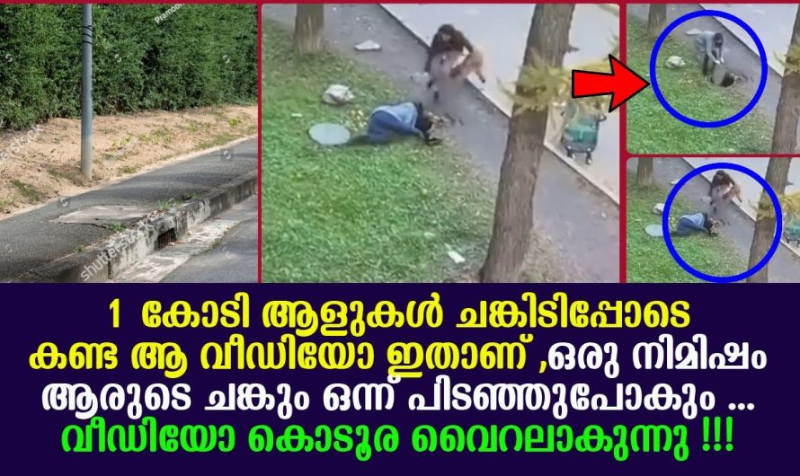 1 കോടി ആളുകൾ ചങ്കിടിപ്പോടെ കണ്ട ആ വീഡിയോ ഇതാണ് ,