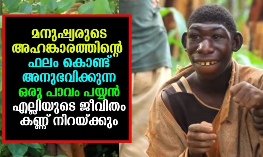മനുഷ്യരുടെ അഹങ്കാരത്തിന്റെ ഫലം അനുഭവിക്കുന്ന ഒരു പാവം പയ്യൻ