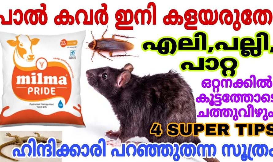 ഹിന്ദിക്കാർ ചെയ്യുന്നസൂത്രം എലിപല്ലിപാറ്റ കൂട്ടത്തോടെ ചത്തുവീഴും