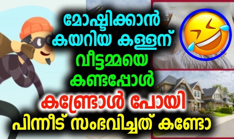 മോഷ്ടിക്കാൻ കയറിയ കള്ളന് വീട്ടമ്മയെ കണ്ടപ്പോൾ കണ്ട്രോൾ പോയി പിന്നീട് സംഭവിച്ചത് കണ്ടോ