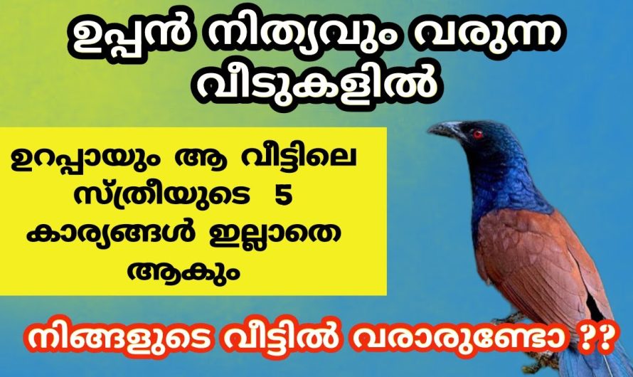 ഉപ്പൻ നിത്യവും വരുന്ന വീടുകളിൽ സ്ത്രീക്ക് ഈ 5 കാര്യങ്ങൾ നഷ്ടമാകും