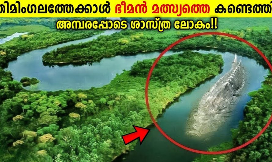 ഭൂമിയിലെ യഥാർത്ഥ രാ.ക്ഷ.സ.ജീവികൾ!