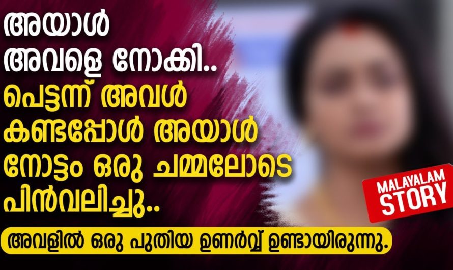 പെട്ടന്ന് അവൾ കണ്ടപ്പോൾ അയാൾ നോട്ടം ഒരു ചമ്മലോടെ പിൻവലിച്ചു
