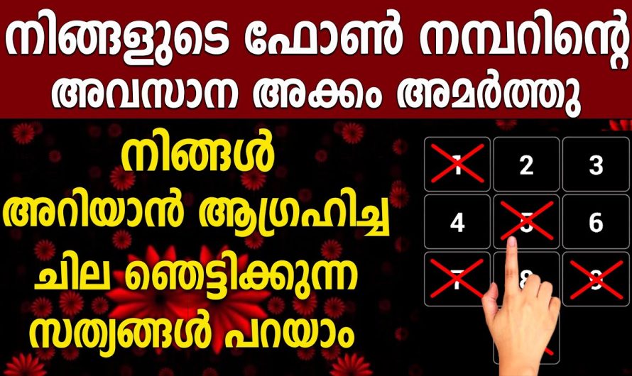 നിങ്ങളുടെ ഭാവി പറയും വീഡിയോ.. നിങ്ങളുടെ മനസ്സിലുള്ള കാര്യം നടക്കുമോ ഇല്ലയോ എന്നറിയാം..
