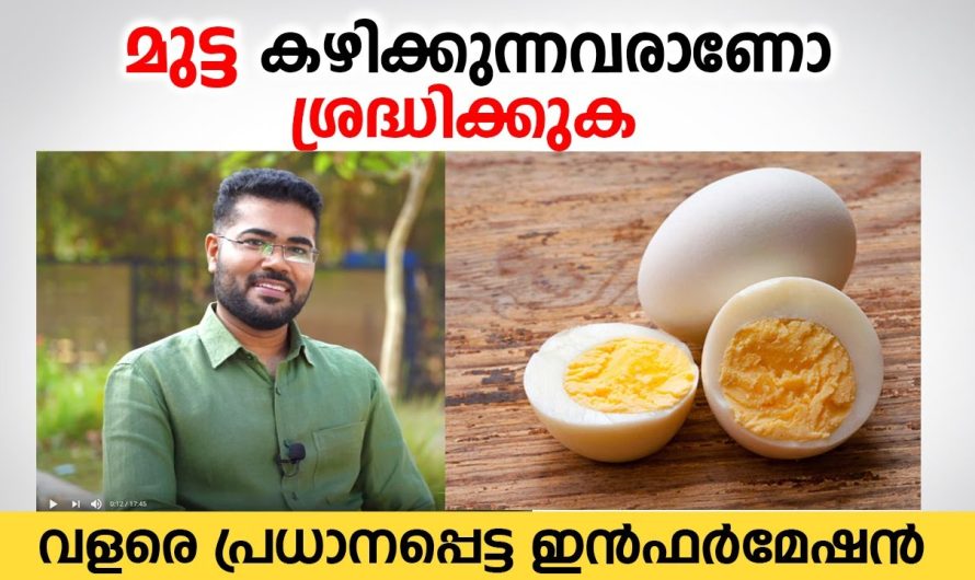 മുട്ട കഴിക്കുന്നവരാണോ എങ്കിൽ ശ്രദ്ധിക്കുക