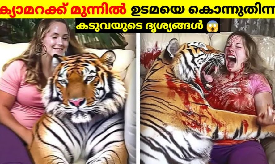 ഉടമയെ കൊ..ന്നു തിന്ന വളർത്തുന്ന മൃഗങ്ങൾ..😱