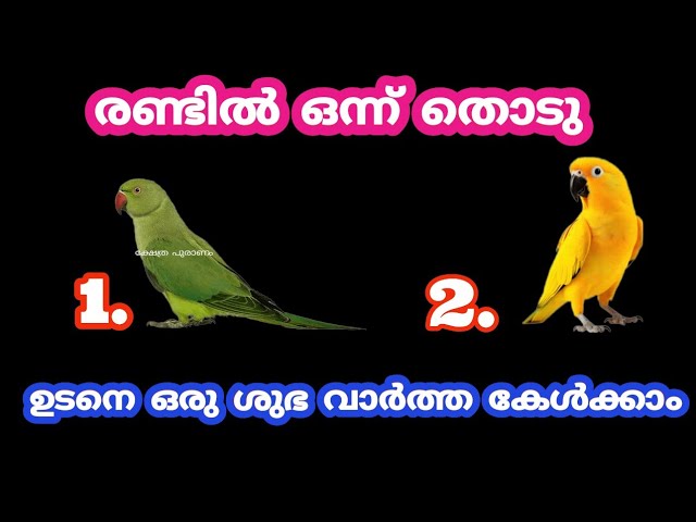 രണ്ടിൽ ഒന്ന് തൊടു ഉടനെ ഒരു ശുഭ വാർത്ത കേൾക്കാം.
