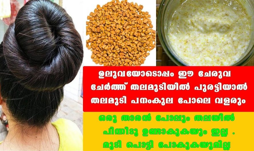 മുടിയില്‍  ഈ ചേരുവ കൂടെ ചേര്‍ത്ത് ഒറ്റ പ്രാവശ്യം ഇതുപോലെ ചെയ്താല്‍