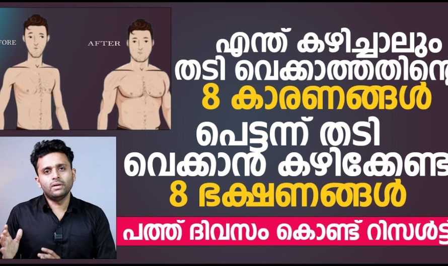 തടി വെക്കാം വെറും പത്ത് ദിവസം കൊണ്ട്