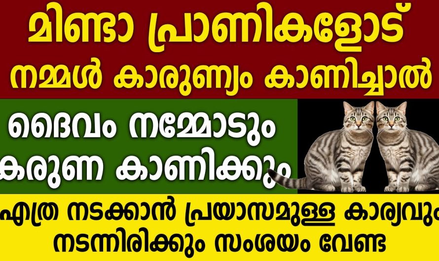 നിങ്ങളുടെ ജീവിതത്തിൽ നിങ്ങൾ ആഗ്രഹിക്കുന്ന നടക്കാൻ കഴിയാത്ത എത്ര വലിയ ആഗ്രഹങ്ങളും നടക്കും..