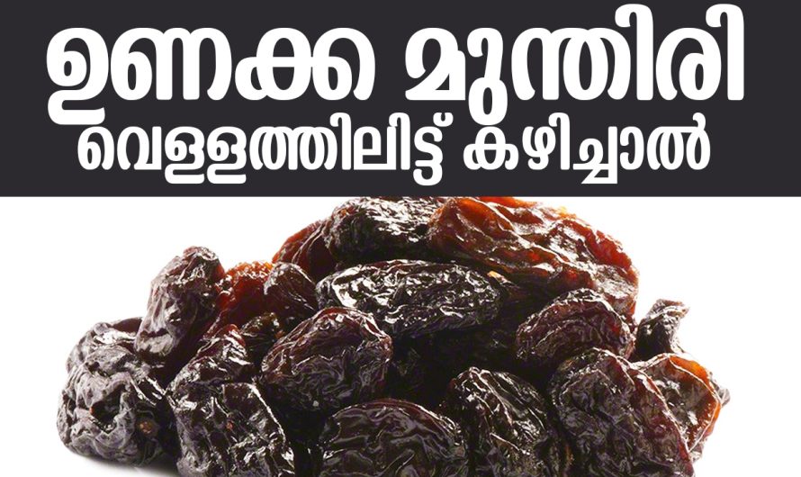 ❤ഉണക്ക മുന്തിരി വെള്ളത്തിലിട്ട് കഴിച്ചാൽ