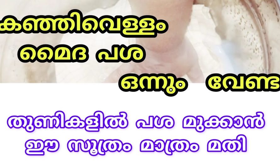 പഞ്ചസാര പാത്രം ഇപ്രകാരം സൂക്ഷിച്ചാൽ ഉറുമ്പുകൾ വരില്ല..