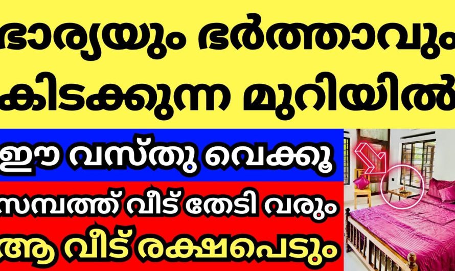 വീടിന്റെ ബെഡ്‌റൂമിൽ ഈ വസ്തു വെക്കൂ, സമ്പത്ത് കുതിച്ചുയരും