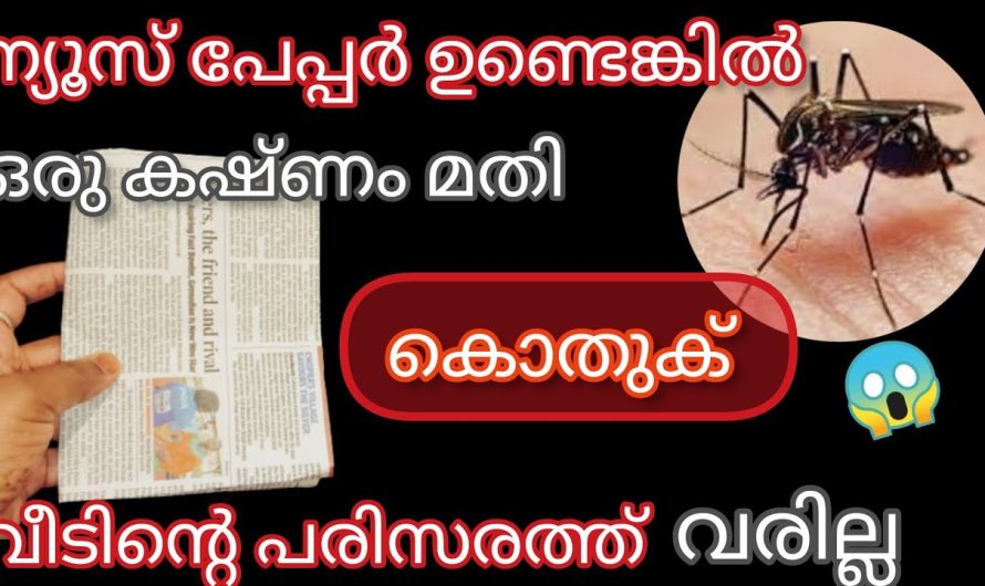 100%കൊതുക് പാറ്റ ഈച്ച വീടിന്റെ പരിസരത്ത് വരില്ല