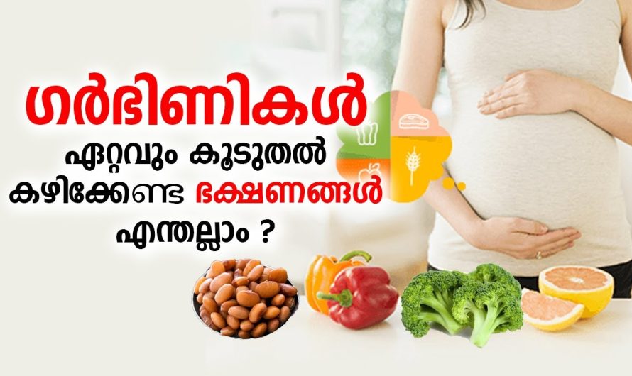 ഗ.ർ.ഭി.ണികൾ ഏറ്റവും കൂടുതൽ കഴിക്കേണ്ട ഭക്ഷണങ്ങൾ എന്തല്ലാം ?