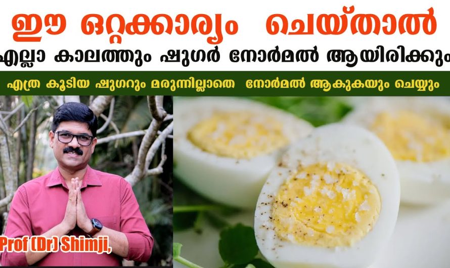 ഈ ഒറ്റക്കാര്യം ചെയ്താൽ എല്ലാകാലത്തും ഷു.ഗ.ർ.നോർമൽ ആയിരിക്കും,