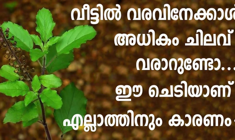വീട് നിർമ്മിക്കുമ്പോൾ വീടിൻറെ കന്നിമൂലയിൽ ഈ കാര്യങ്ങൾ ശ്രദ്ധിക്കുക..