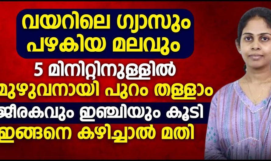 വയറിലെ ഗ്യാ..സും പഴകിയ മ..ല.വും 5 മിനിറ്റിനുള്ളിൽ മുഴുവനായി പുറം തള്ളാം