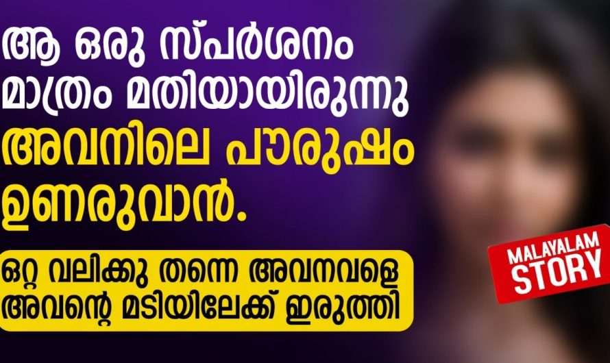 ആ ഒരു സ്പർശനം മാത്രം മതിയായിരുന്നു അവനിലെ പൗരുഷം ഉണരുവാൻ