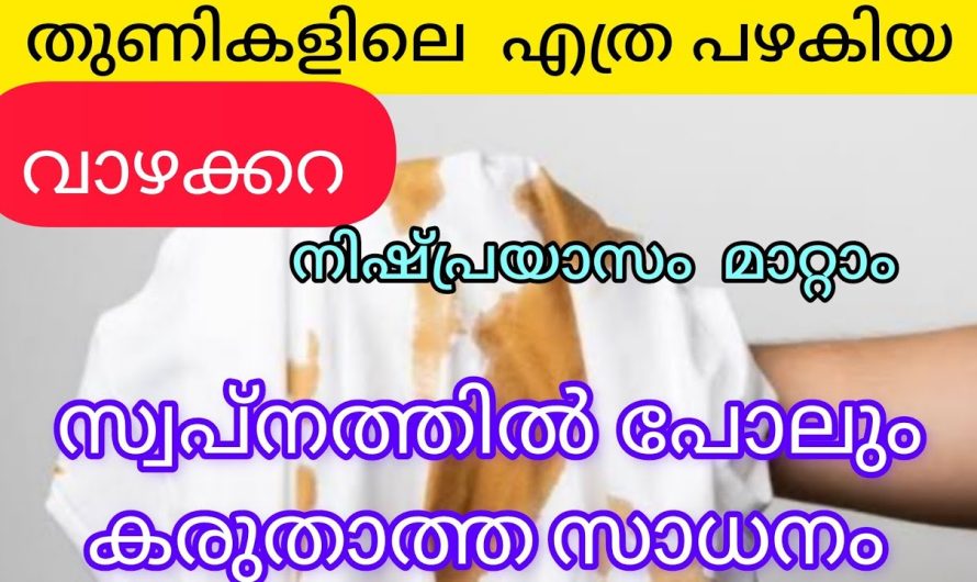തുണികളിലെ വാഴക്കറ എത്ര പഴകിയാലും പാടുകൾ പൂർണ്ണമായി മാറ്റാം