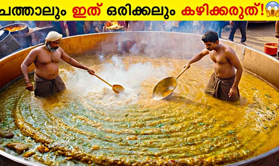 ലോകത്തിലെ ഏറ്റവും അസാധാരണമായ തെരുവ് ഭക്ഷണം