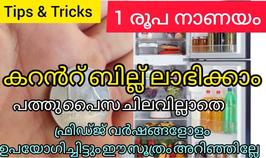 1രൂപനാണയം ഫ്രിഡ്ജില്‍ വെച്ചാൽ കറൻറ് ബില്ല് ലഭിക്കാം😪
