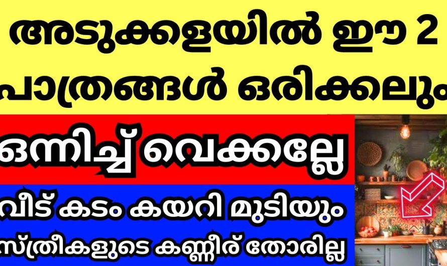 അടുക്കളയിൽ ഈ 2 പത്രങ്ങൾ ഒന്നിച്ച് ആണോ വെക്കുന്നത്,