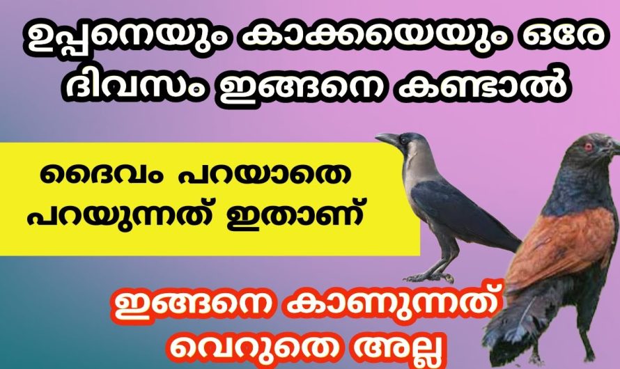 ഉപ്പനെയും കാക്കയെയും ഒരേ ദിവസം ഇങ്ങനെ കണ്ടാൽ ഇത് ഉടനെ സംഭവിക്കും