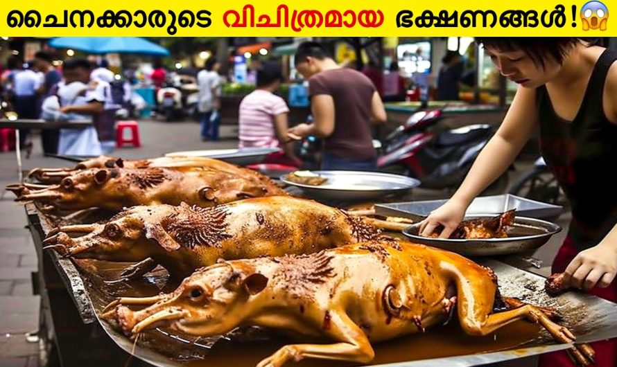 ചൈനയിലെ ഏറ്റവും വിചിത്രമായ 10 ഭക്ഷണങ്ങൾ