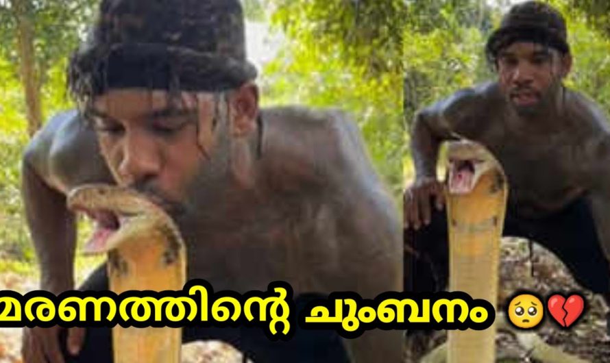 മരണത്തിൻ്റെ ചുംബനം 🥹
