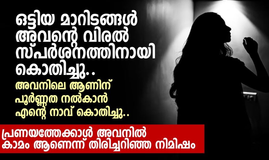 ചേച്ചി പ്രസവിച്ചു കിടക്കുമ്പോൾ കുഞ്ഞളിയന്റെ അടുത്ത് കാ…മം തീർക്കാൻ വന്നവൻ