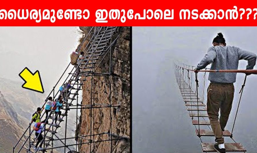 ലോകത്തിലെ അതി സാഹസികമായ നടത്തങ്ങൾ