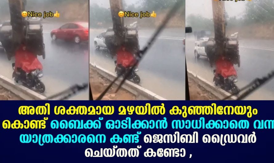 ഇന്ന് കണ്ടതിൽ ഏറ്റവും കൂടുതൽ മനസ് നിറച്ച വീഡിയോ !!