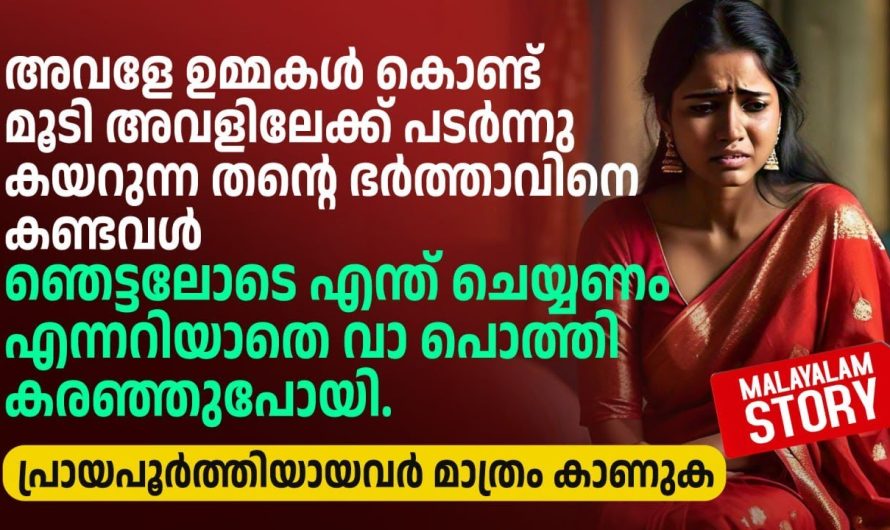അവളിലേക്ക് പടർന്നു കയറുന്ന തന്റെ ഭർത്താവിനെ കണ്ടവൾ വാ പൊത്തി കരഞ്ഞുപോയി