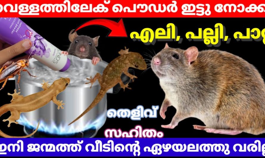 കർണാടക്കാർ ചെയ്യുന്ന കിടിലൻ സൂത്രം