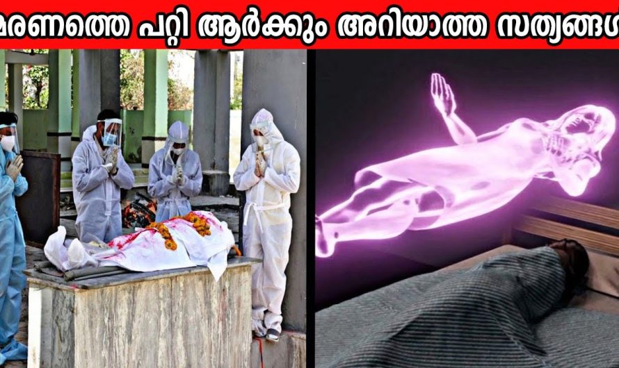 മരണവുമായി ബന്ധപ്പെട്ട ചില ഞെട്ടിക്കുന്ന വസ്തുതകൾ