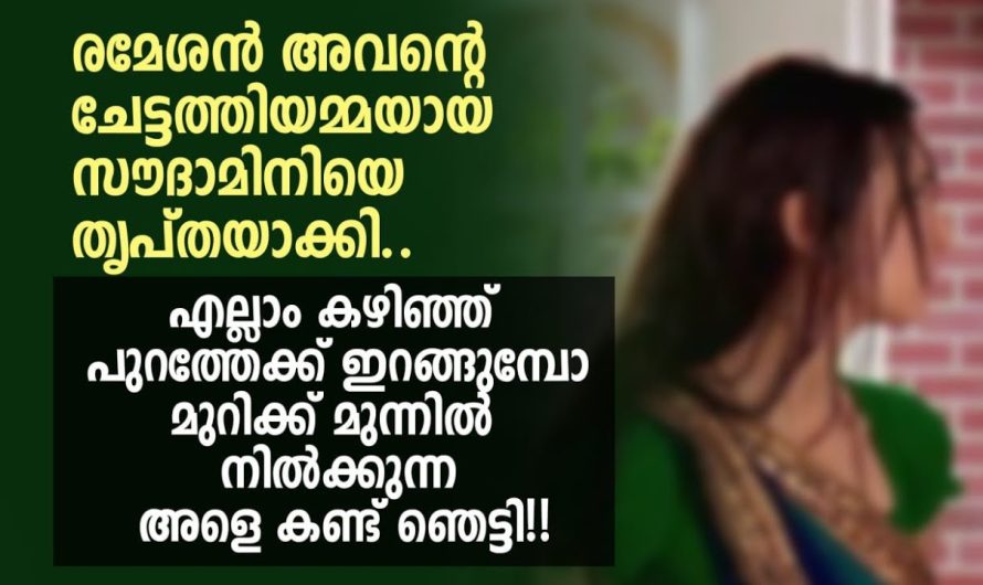 എല്ലാം കഴിഞ്ഞ് പുറത്തേക്ക് ഇറങ്ങുമ്പോ മുറിക്ക് മുന്നിൽ നിൽക്കുന്ന അളെ കണ്ട് ഞെട്ടി